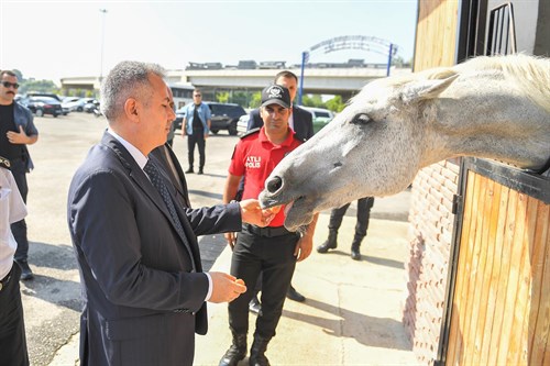 Vali Elban Atlı Polis Birlik Amirliğini Ziyaret Etti 